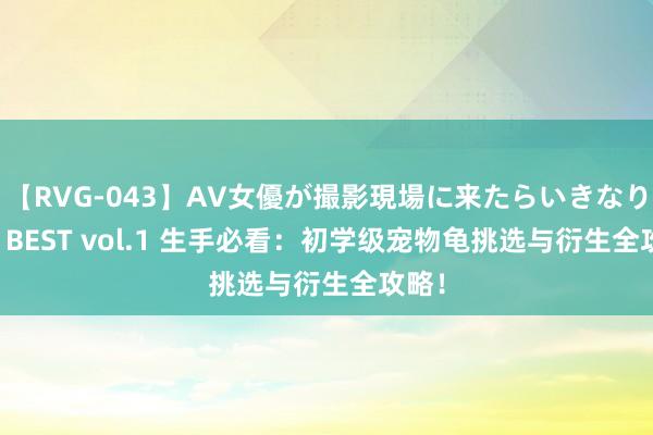 【RVG-043】AV女優が撮影現場に来たらいきなりSEX BEST vol.1 生手必看：初学级宠物龟挑选与衍生全攻略！