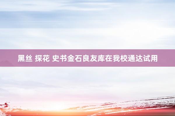 黑丝 探花 史书金石良友库在我校通达试用