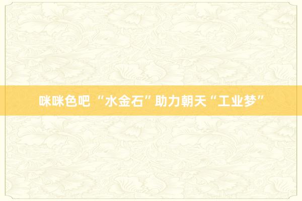 咪咪色吧 “水金石”助力朝天“工业梦”