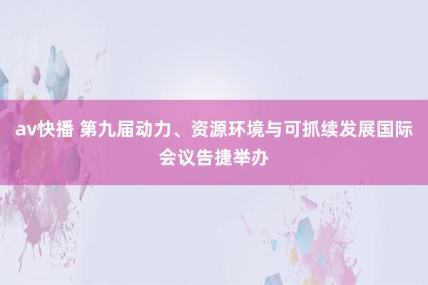 av快播 第九届动力、资源环境与可抓续发展国际会议告捷举办