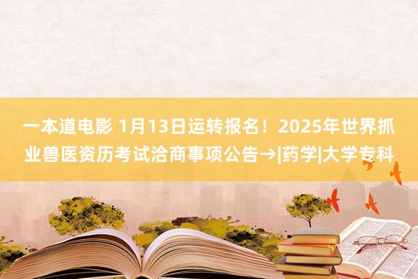 一本道电影 1月13日运转报名！2025年世界抓业兽医资历考试洽商事项公告→|药学|大学专科