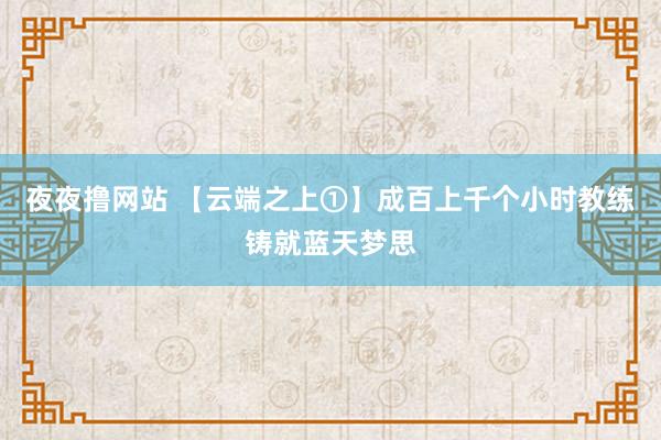 夜夜撸网站 【云端之上①】成百上千个小时教练铸就蓝天梦思
