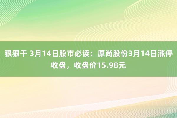 狠狠干 3月14日股市必读：原尚股份3月14日涨停收盘，收盘价15.98元