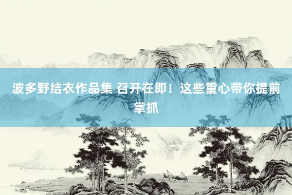 波多野结衣作品集 召开在即！这些重心带你提前掌抓