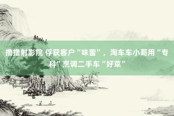 撸撸射影院 俘获客户“味蕾”，淘车车小哥用“专科”烹调二手车“好菜”