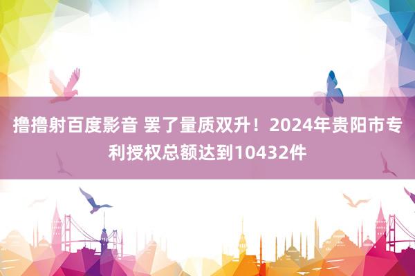 撸撸射百度影音 罢了量质双升！2024年贵阳市专利授权总额达到10432件
