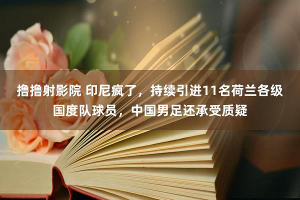 撸撸射影院 印尼疯了，持续引进11名荷兰各级国度队球员，中国男足还承受质疑