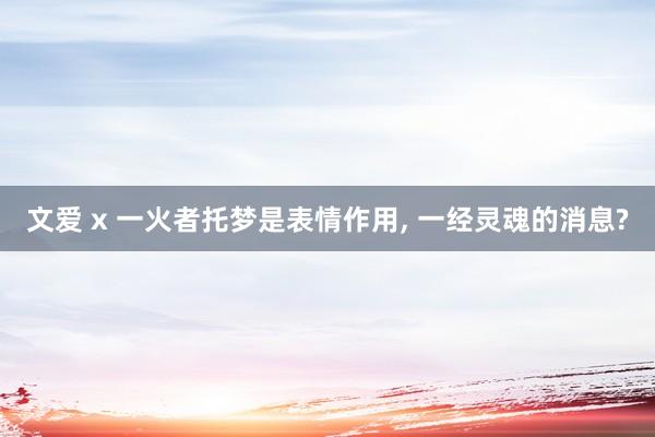 文爱 x 一火者托梦是表情作用， 一经灵魂的消息?