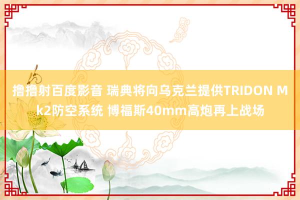 撸撸射百度影音 瑞典将向乌克兰提供TRIDON Mk2防空系统 博福斯40mm高炮再上战场